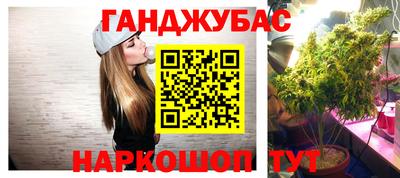 прущие грибы Малгобек