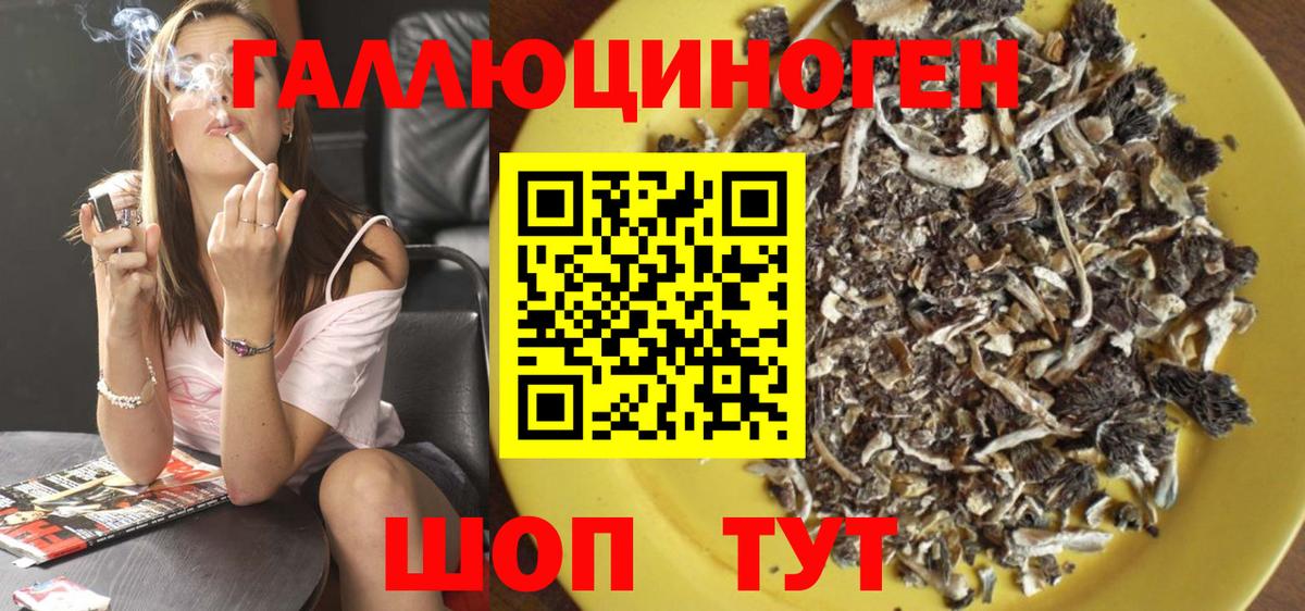 Гагарин  Псилоцибиновые грибы Cubensis  Вход с VPN  Псилоцибиновые грибы Psilocybine cubensis 